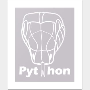 Python Posters and Art